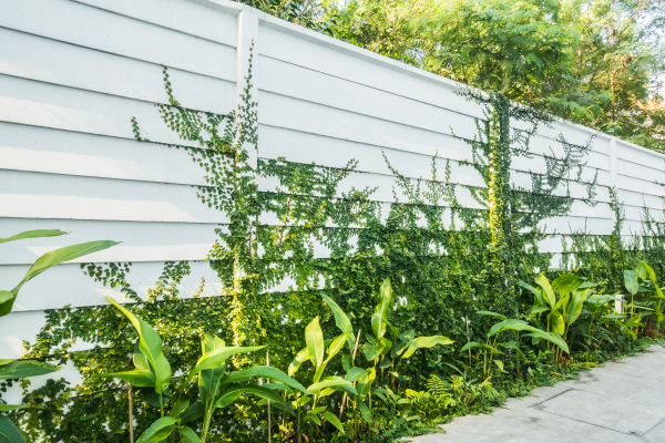 Aluminium Slat vs Solid Fencing for Wanneroo Homes