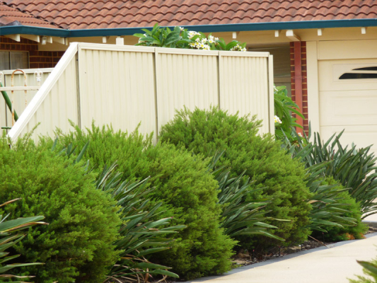 Signs of Water Damage That Indicate You Need To Hire Fencing Contractors