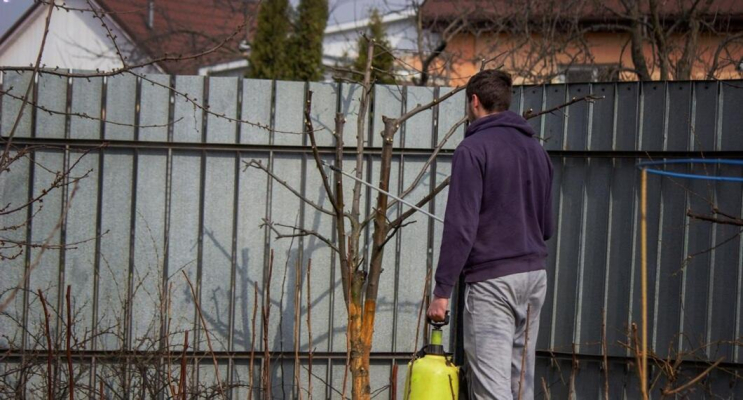 Tips To Increase The Lifespan of Your Fencing In Perth
