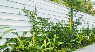 Aluminium Slat vs Solid Fencing for Wanneroo Homes