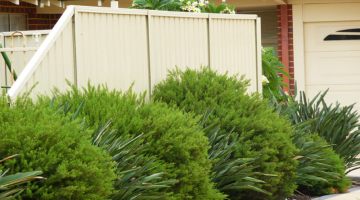 Signs of Water Damage That Indicate You Need To Hire Fencing Contractors