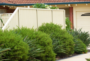 FENCING IN PERTH 13